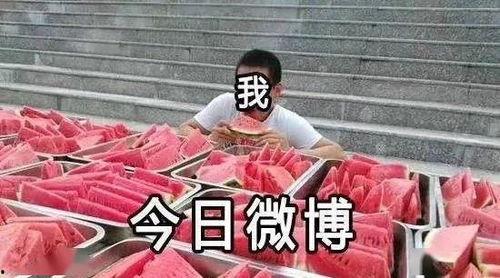 全民吃瓜,揭秘娱乐圈幕后故事