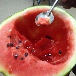 每日大赛 吃瓜视频每日大赛,吃瓜视频盛宴，精彩瞬间不容错过