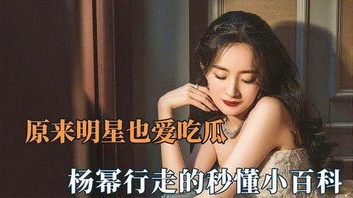 吃瓜网 明星小说,吃瓜网揭秘明星小说背后的故事